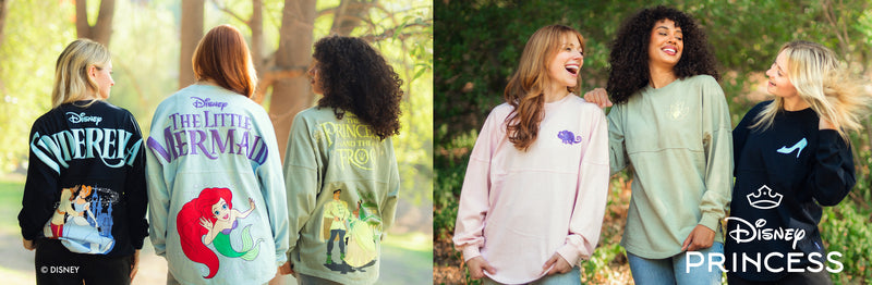 Link to The Disney Princess Character Collection