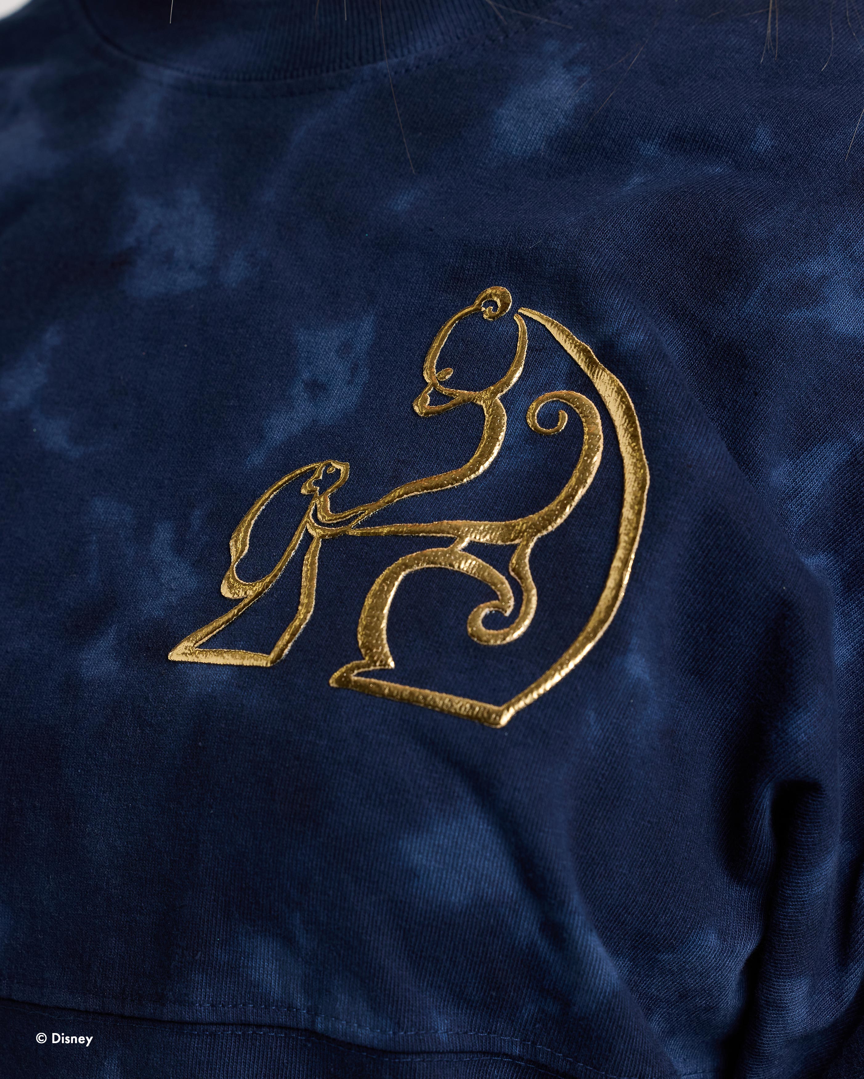 Disney - Pixar Brave™ Spirit Jersey® 2