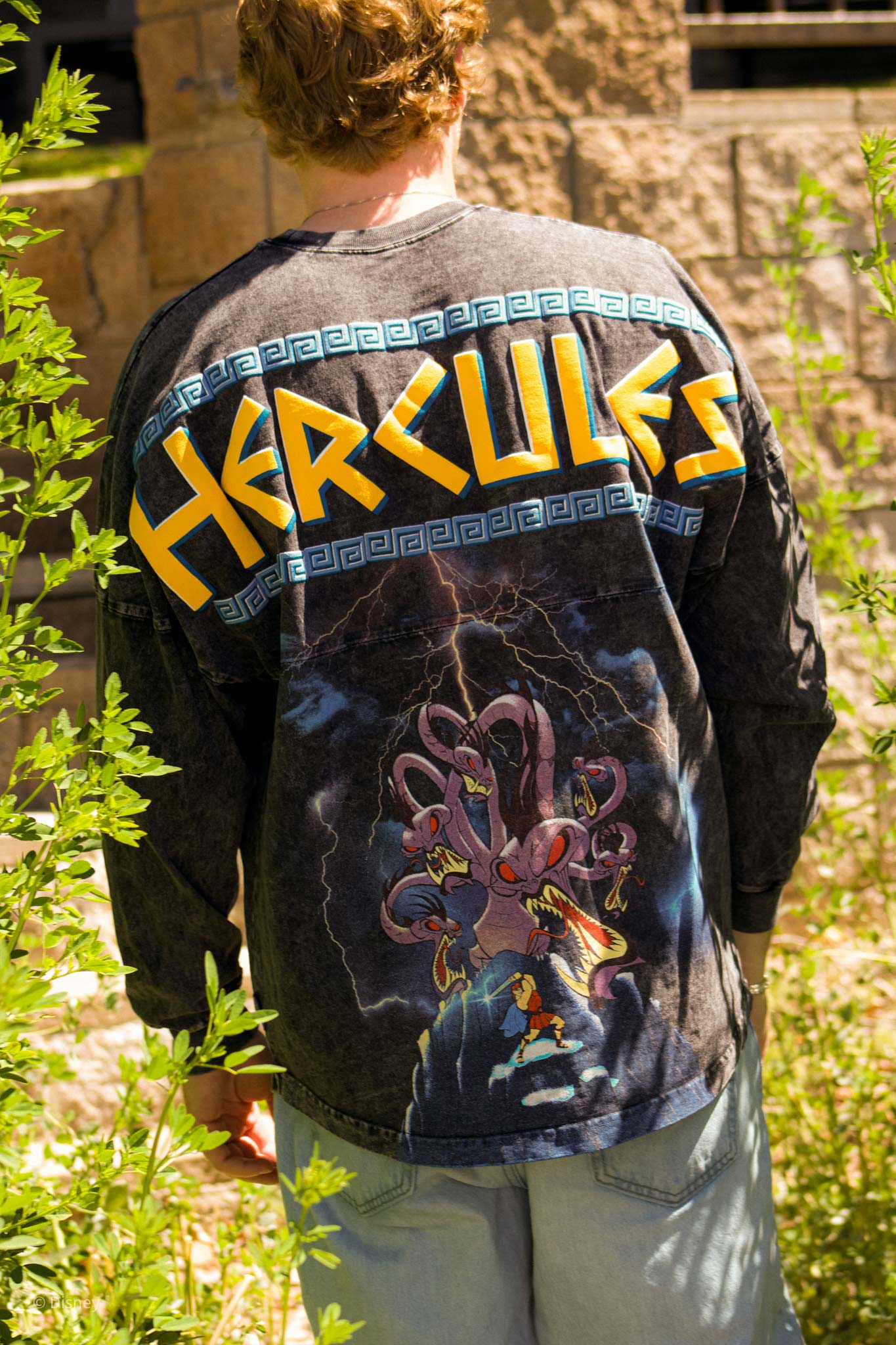 Disney's Hercules vs Hydra Spirit Jersey® - Vault Collection 2