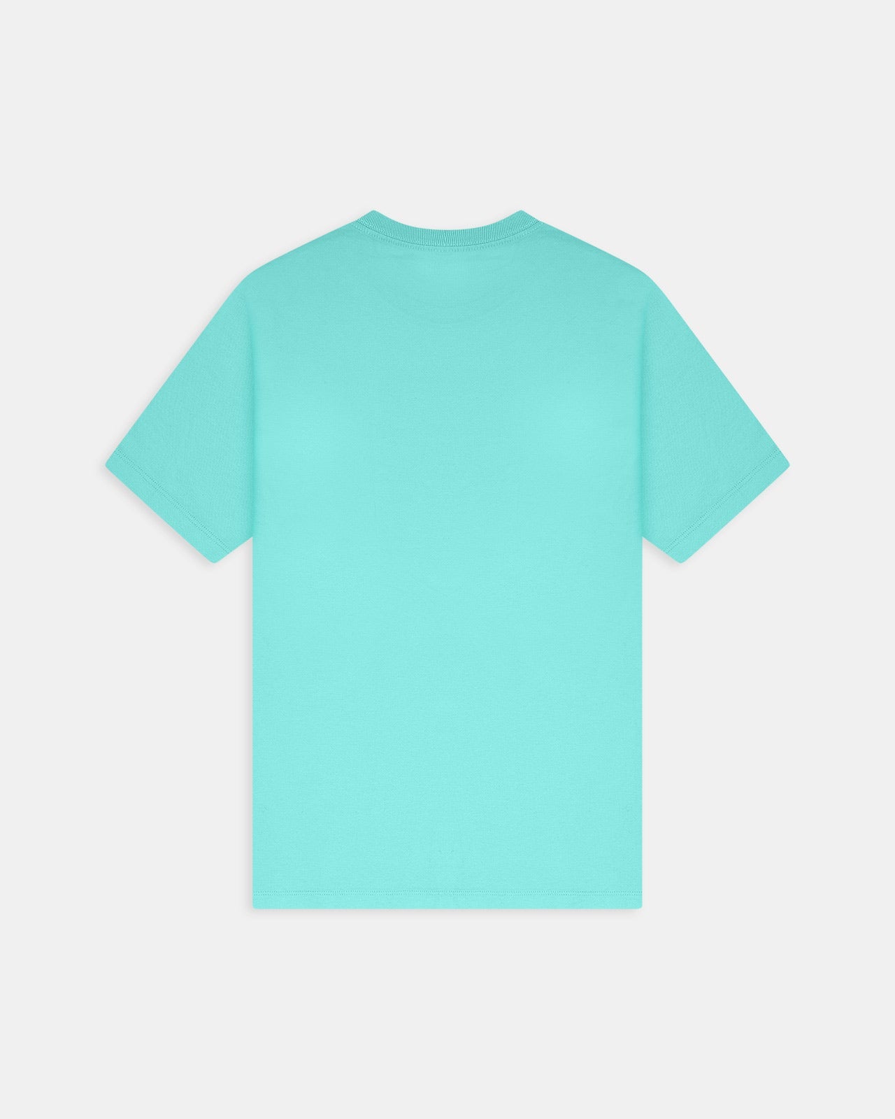 Everyday Short Sleeve Basic Tee in Sea Spray 3