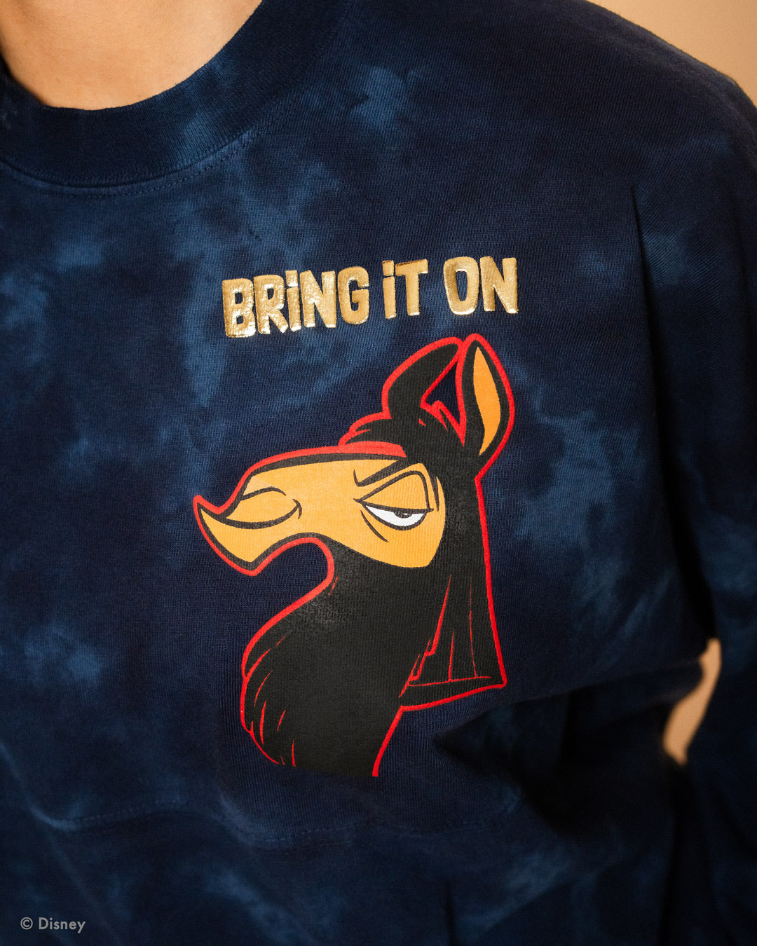 Disney's The Empire's New Groove™ Spirit Jersey®